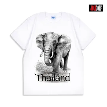 092ช้างหนุ่มWhite