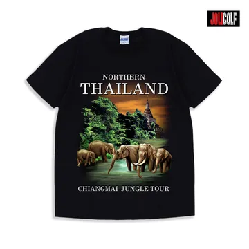 604ช้างเชียงใหม่Black