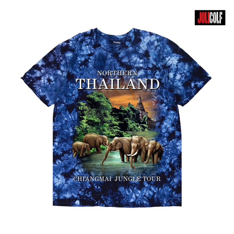 604ช้างเชียงใหม่มัดย้อมกรม
