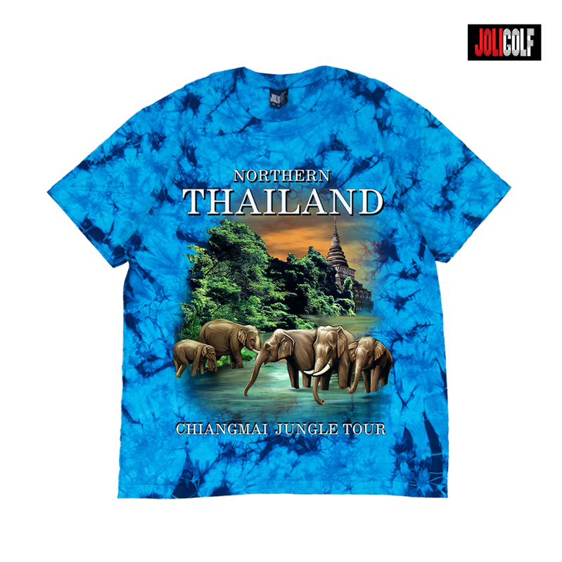 604ช้างเชียงใหม่มัดย้อมฟ้า