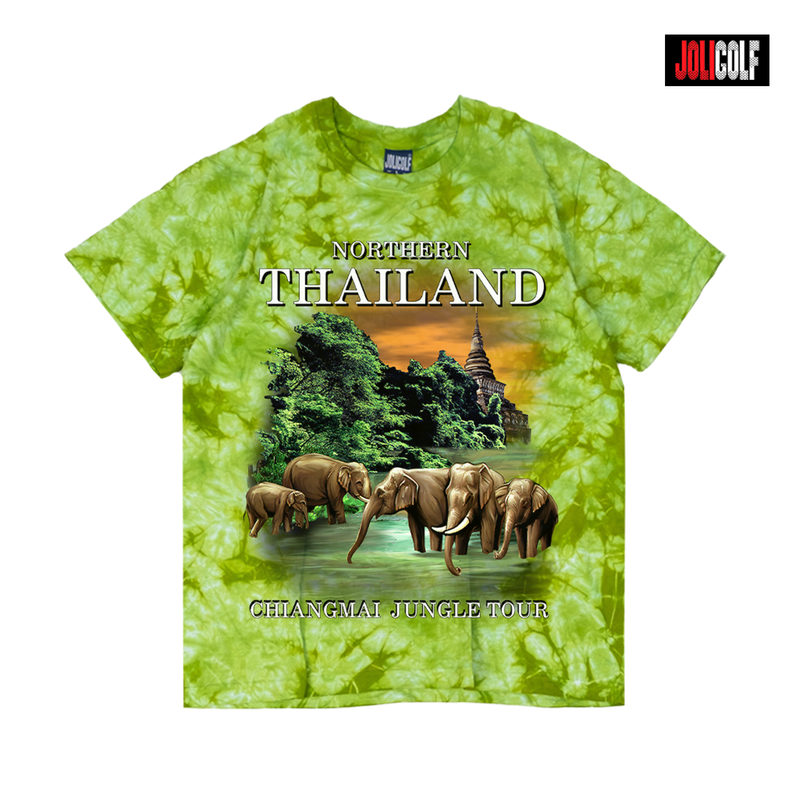 604ช้างเชียงใหม่มัดย้อมเขียว