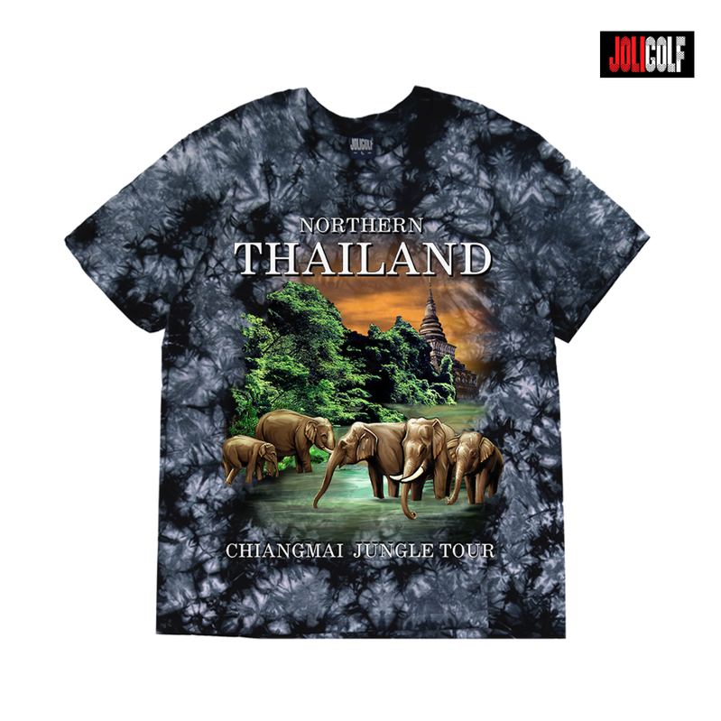 604ช้างเชียงใหม่มัดย้อมเทา