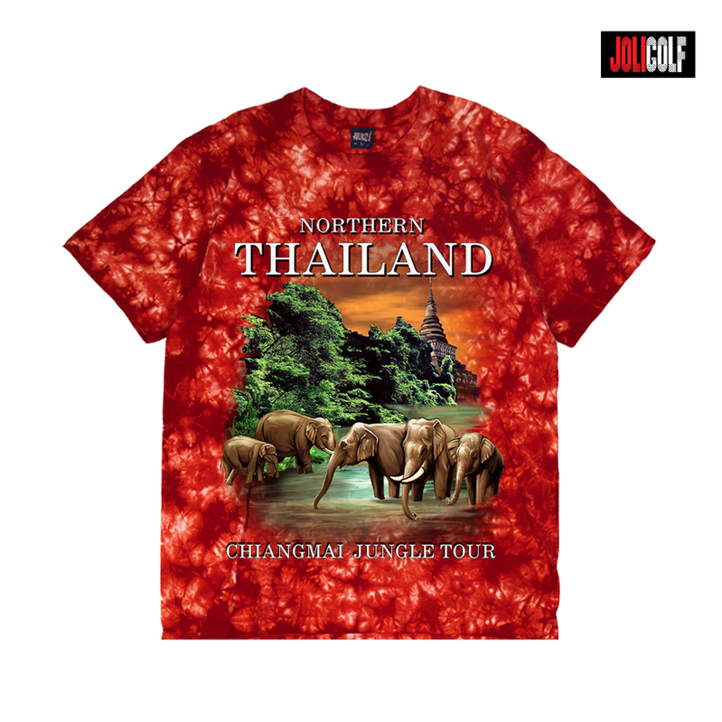 604ช้างเชียงใหม่มัดย้อมแดง