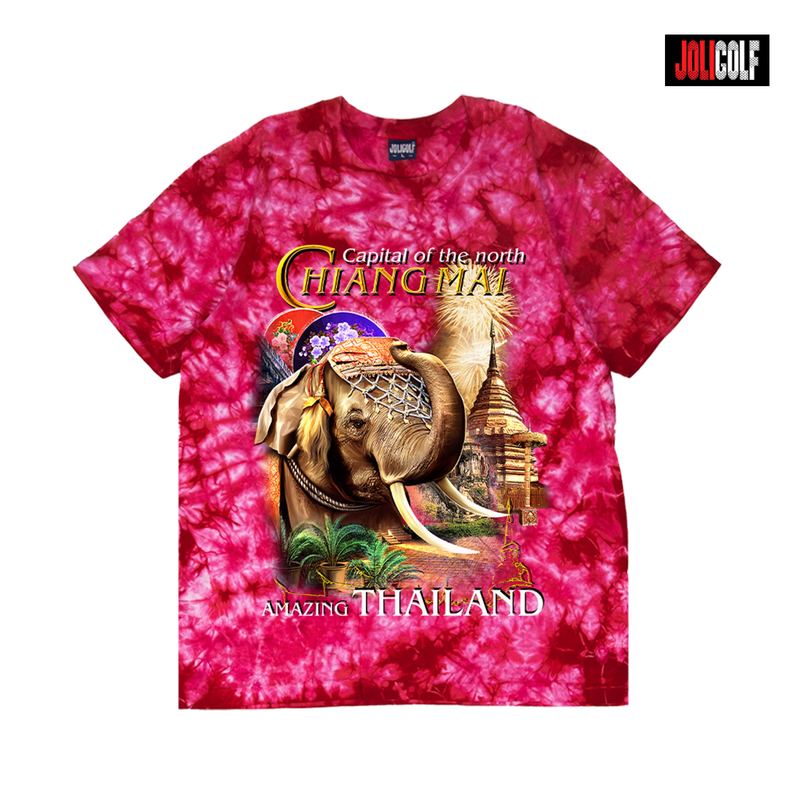 689ช้างทรงเครื่องมัดย้อมบานเย็น