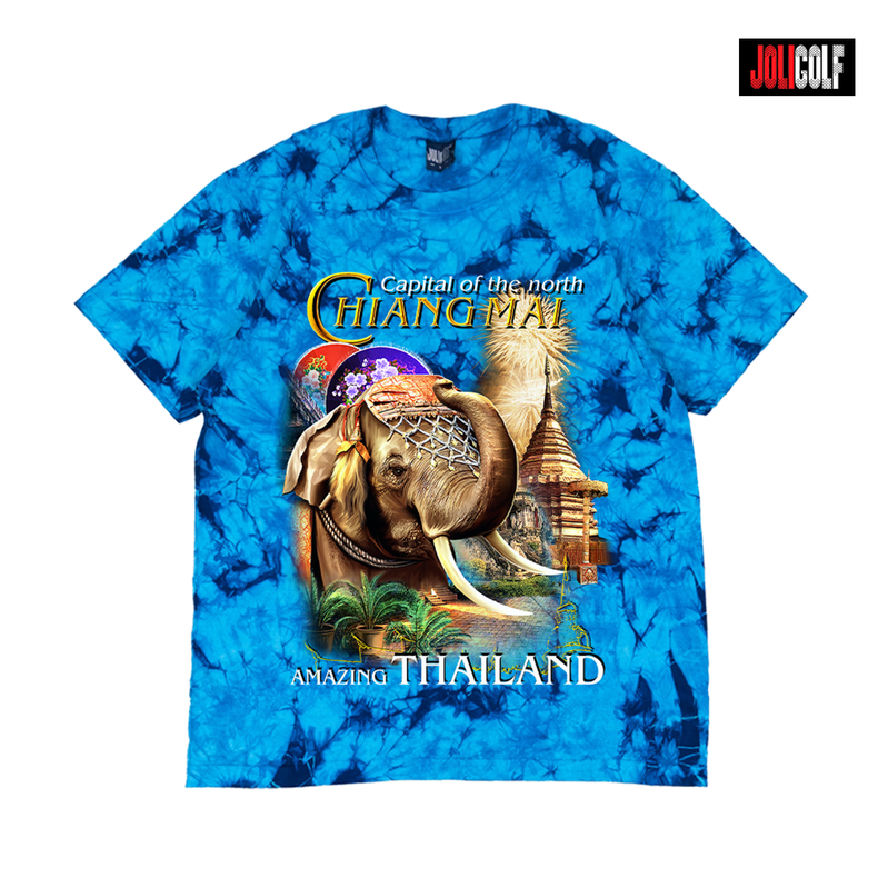 689ช้างทรงเครื่องมัดย้อมฟ้า