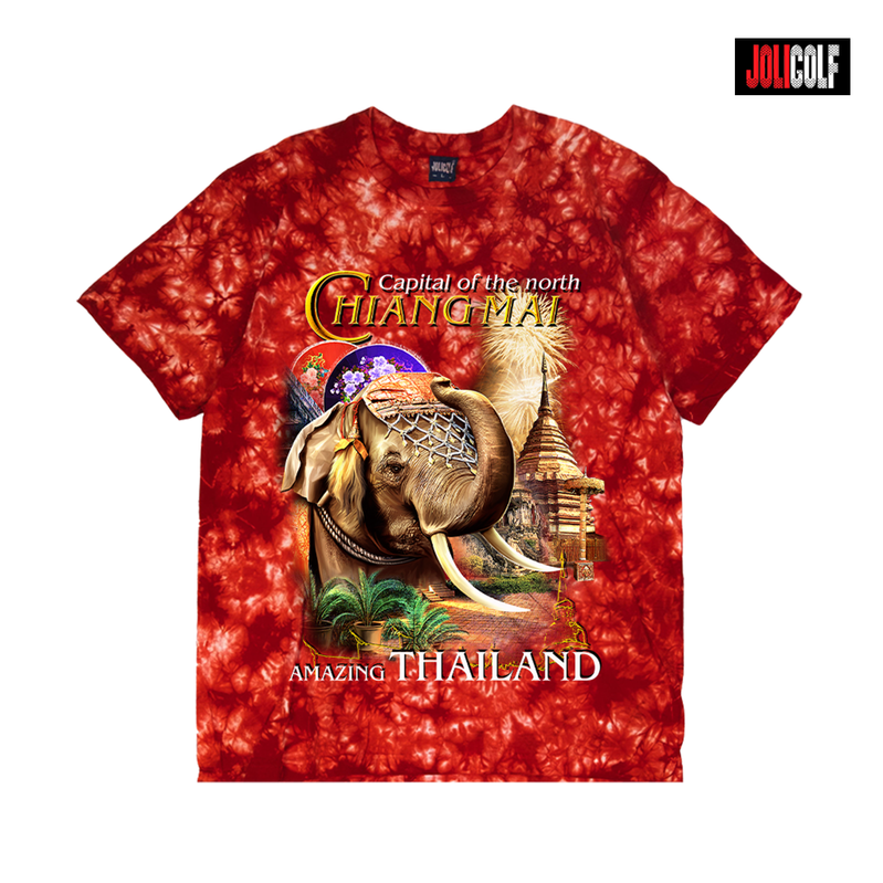689ช้างทรงเครื่องมัดย้อมแดง