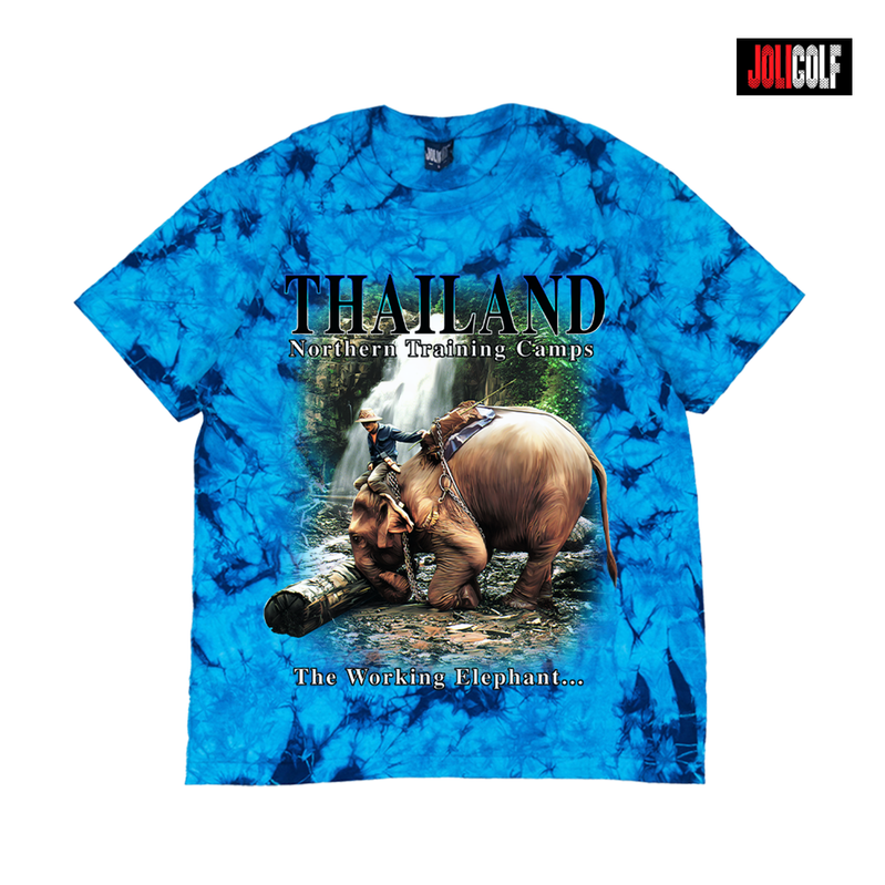 730ช้างงัดซุงมัดย้อมฟ้า