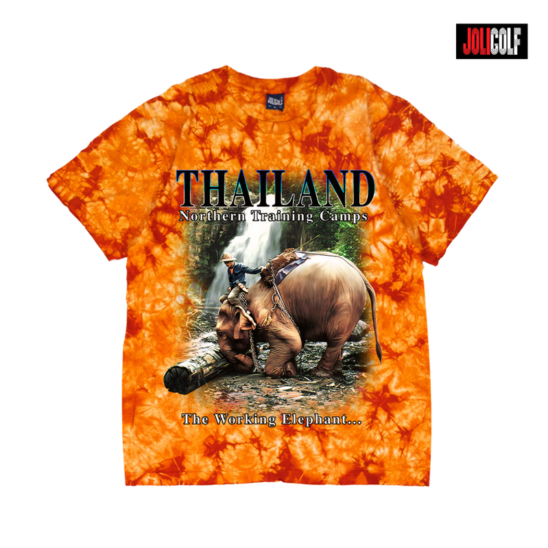730ช้างงัดซุงมัดย้อมส้ม
