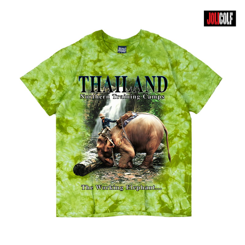 730ช้างงัดซุงมัดย้อมเขียว