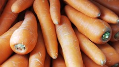 ผักผลไม้Organic,ปลอดสาร(5)