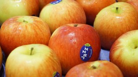 ผักผลไม้Organic,ปลอดสาร(2)