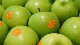 ผักผลไม้Organic,ปลอดสาร(3)
