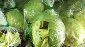 ผักผลไม้Organic,ปลอดสาร(7)