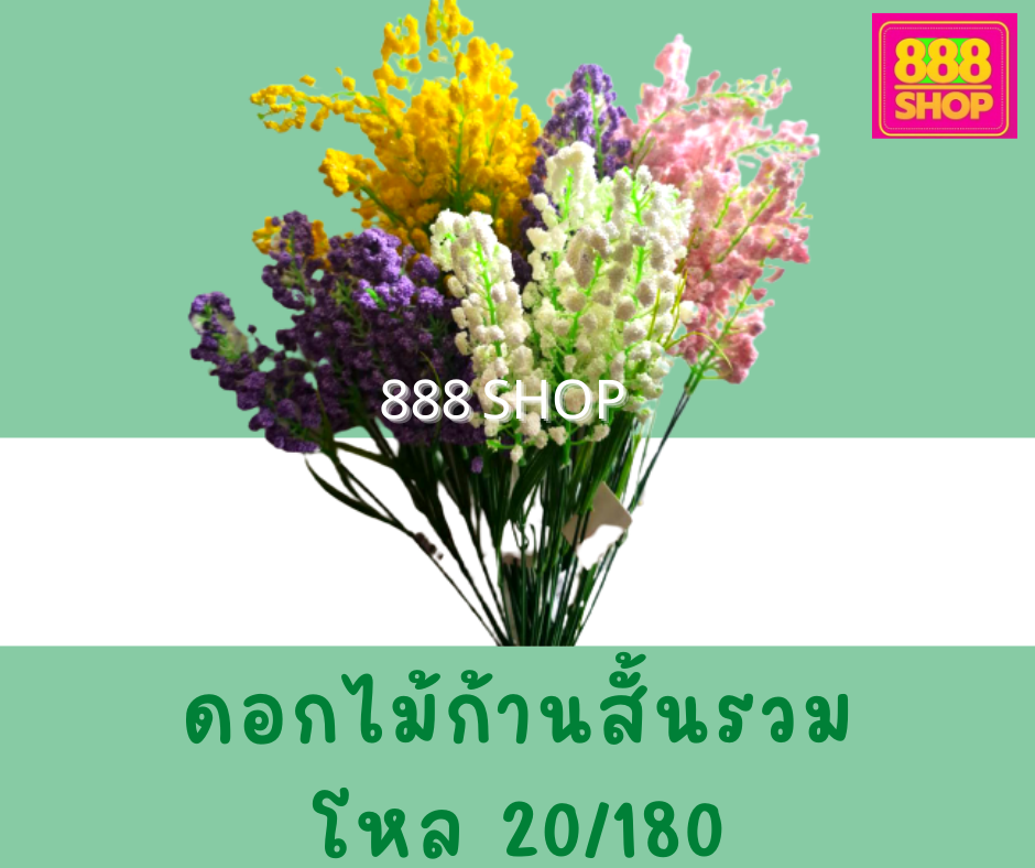 My Image 80