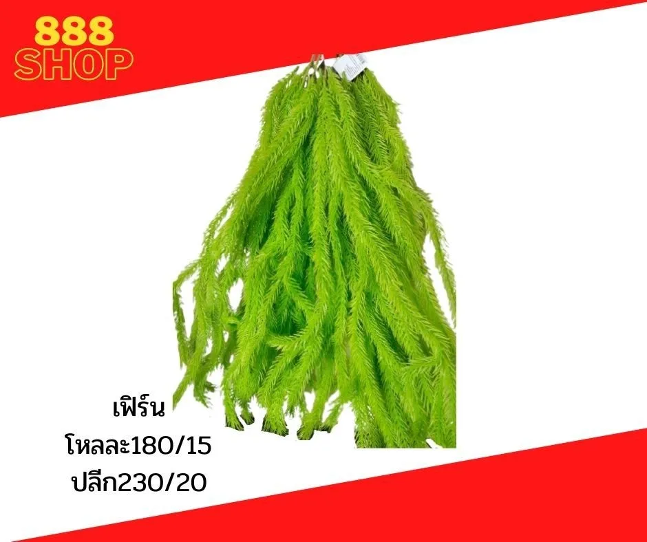LINEALBUMดอกไม้๒๒๐๑๒๙3