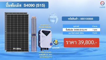 S53002650