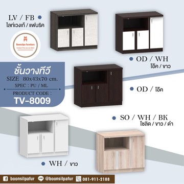 TV-8009color