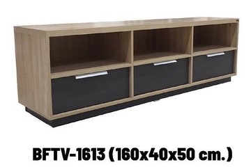 TV1613