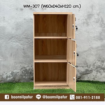 WM-307solid2