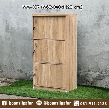WM-307solid