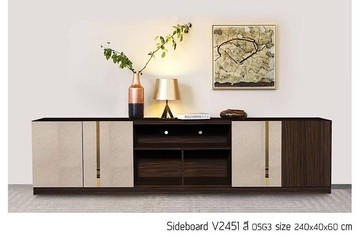 tv2451