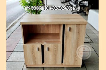 tv8009