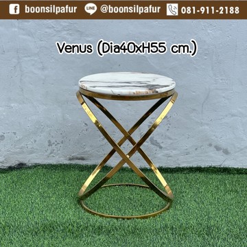 venus1