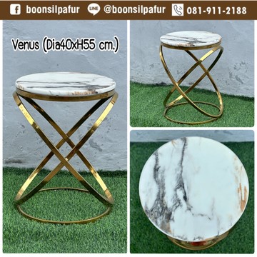 venus4