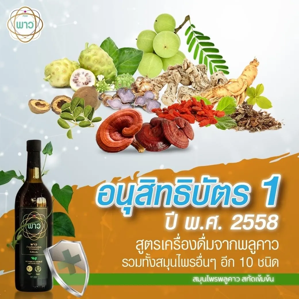 LINEALBUMงานวิจัยพาว๒๔๐๕๑๔5