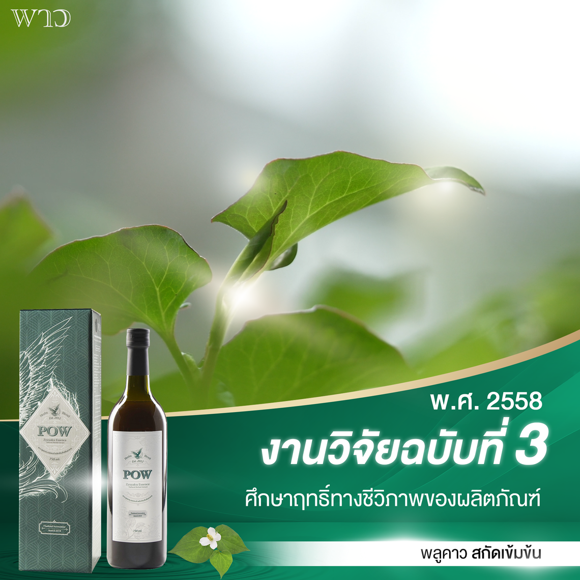 25-2-พาวงานวิจัย-3