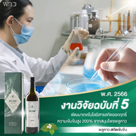 25-2-พาวงานวิจัย-5