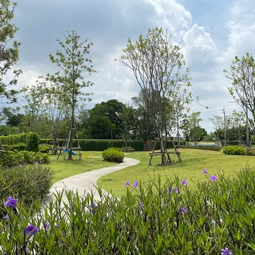 สภาพแวดล้อม(3)