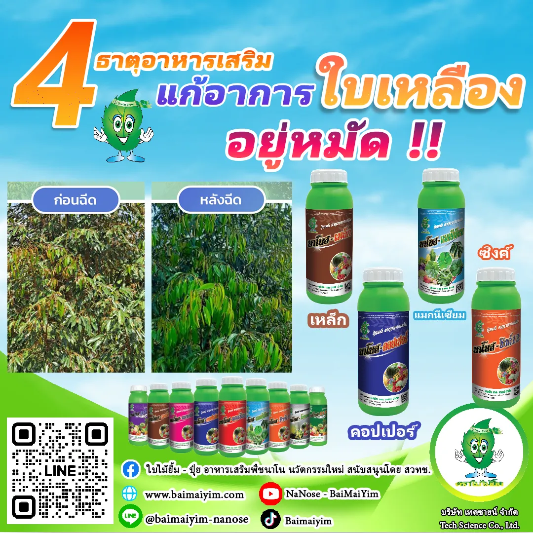 4ตัวแก้ใบเหลือง