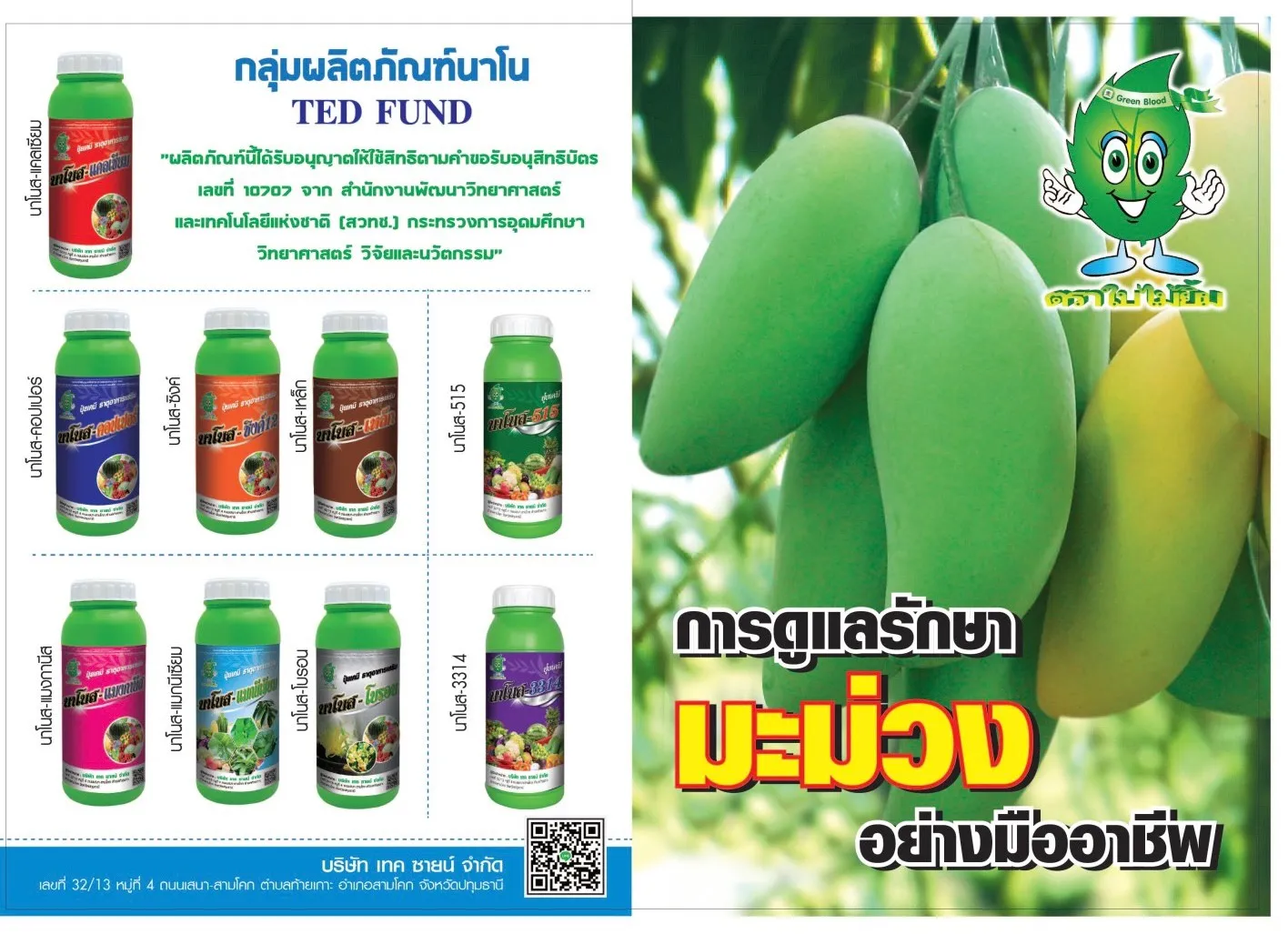มะม่วงนาโนส2