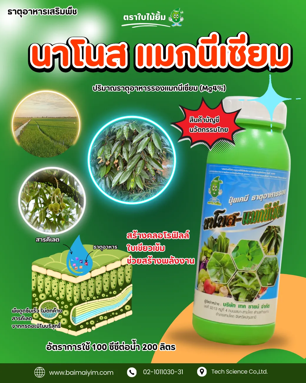 อินเดมเดือนตะวัน(1040x1300px)(17)