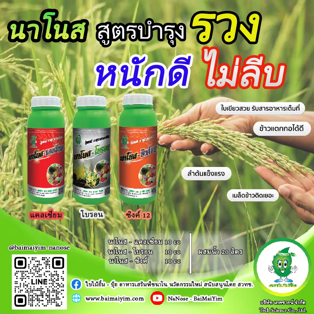 สูตรบำรุข้าว70วัน