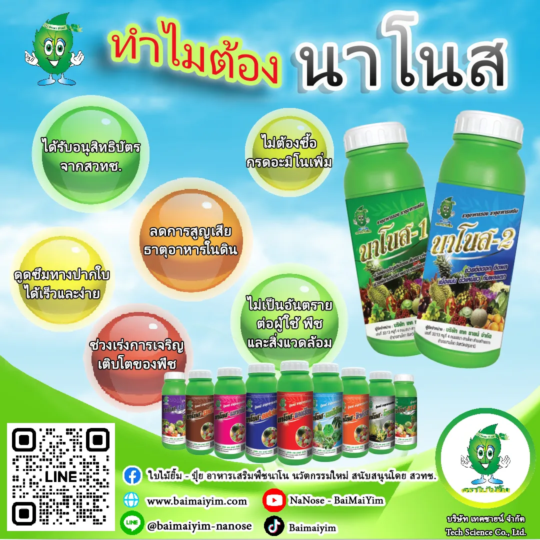 จุดเด่นนาโนส