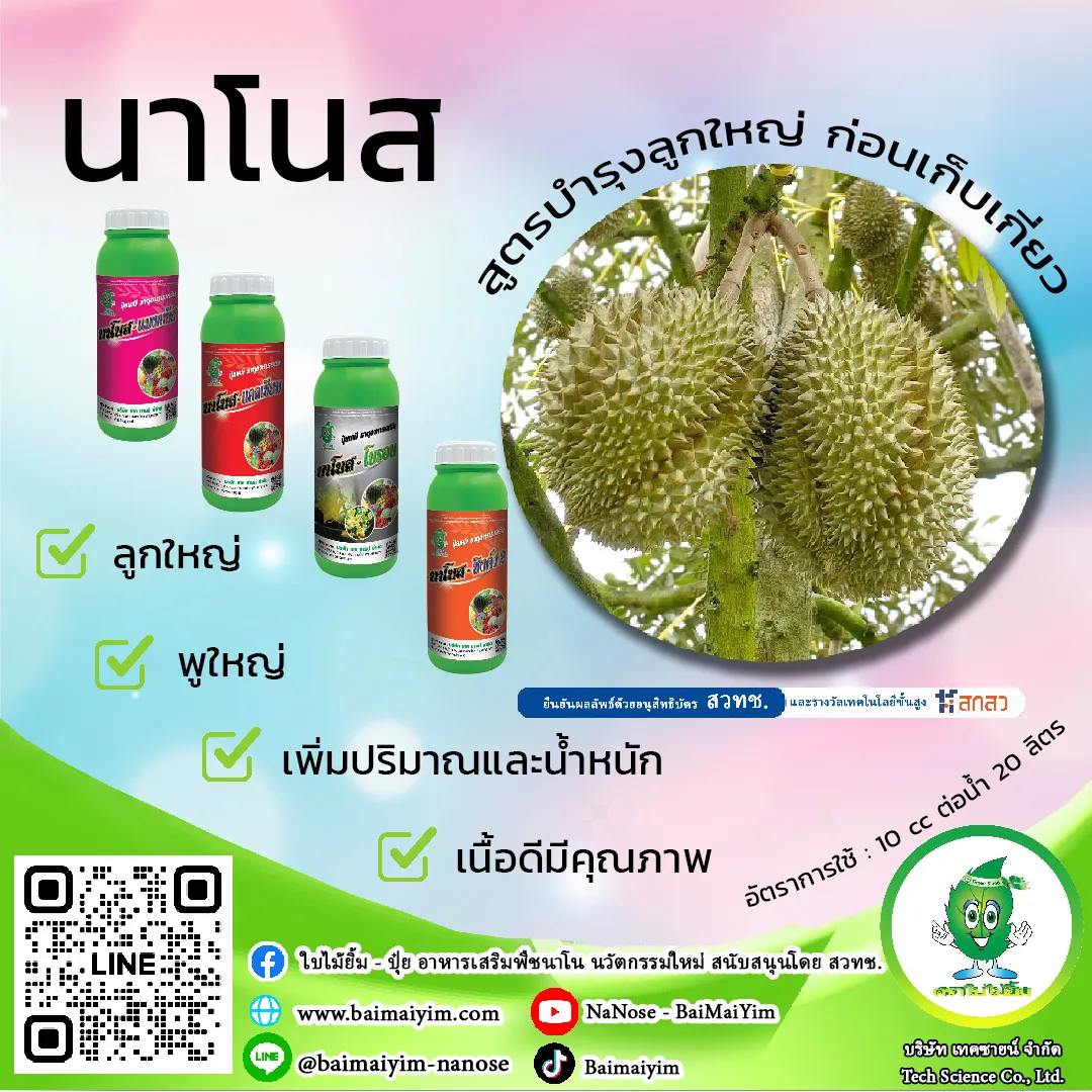 บำรุงลูกใหญ่