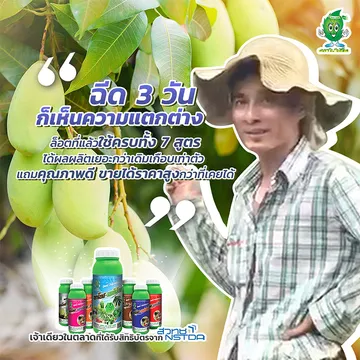 baimaiyim-Product02