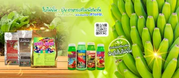 baimaiyimslide3แก้สวทชและQRCOdeLine