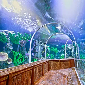 Aquarium