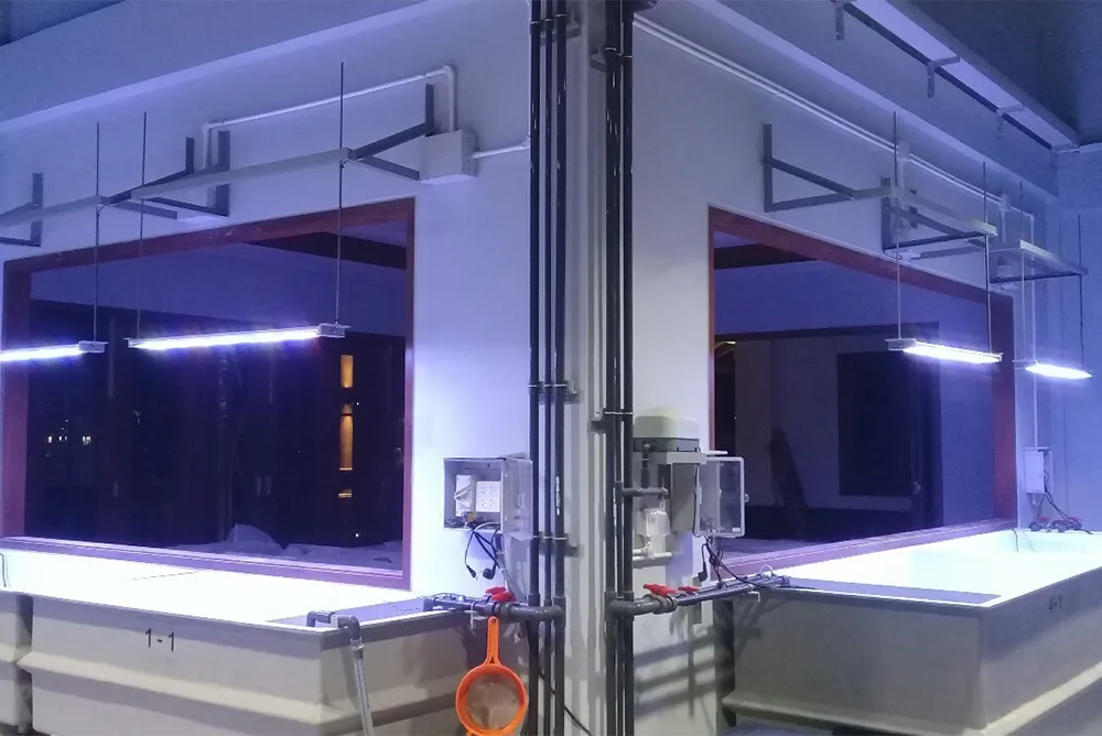 CoralLab,CrossroadsProject,Maldives