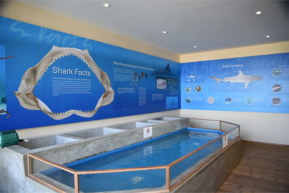MarineDiscoveryCenteratPhiPhiIslandVillageBeachResort,Krabi(2018)00002018PhiphiislandMarinefishexhibi