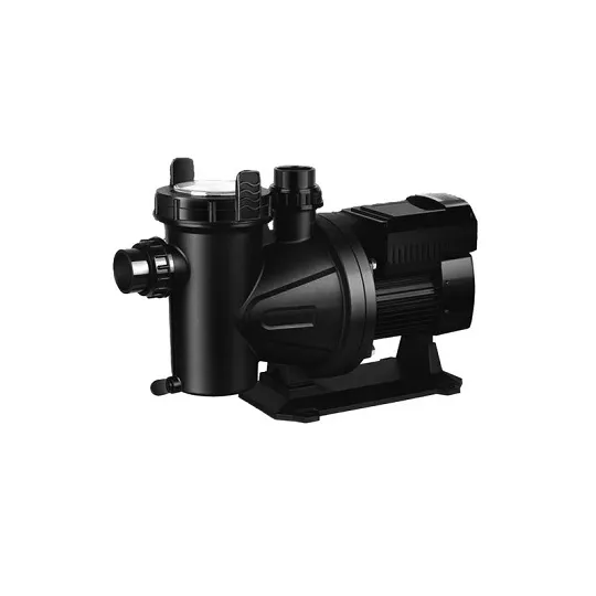 RaionPumpVMG100200
