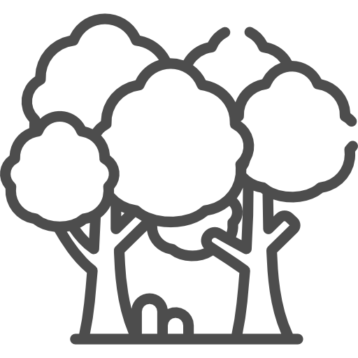 forest-