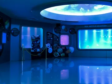 NicheDesign(2)