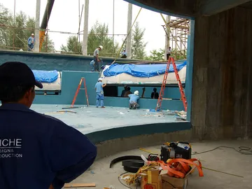 niche-Construction