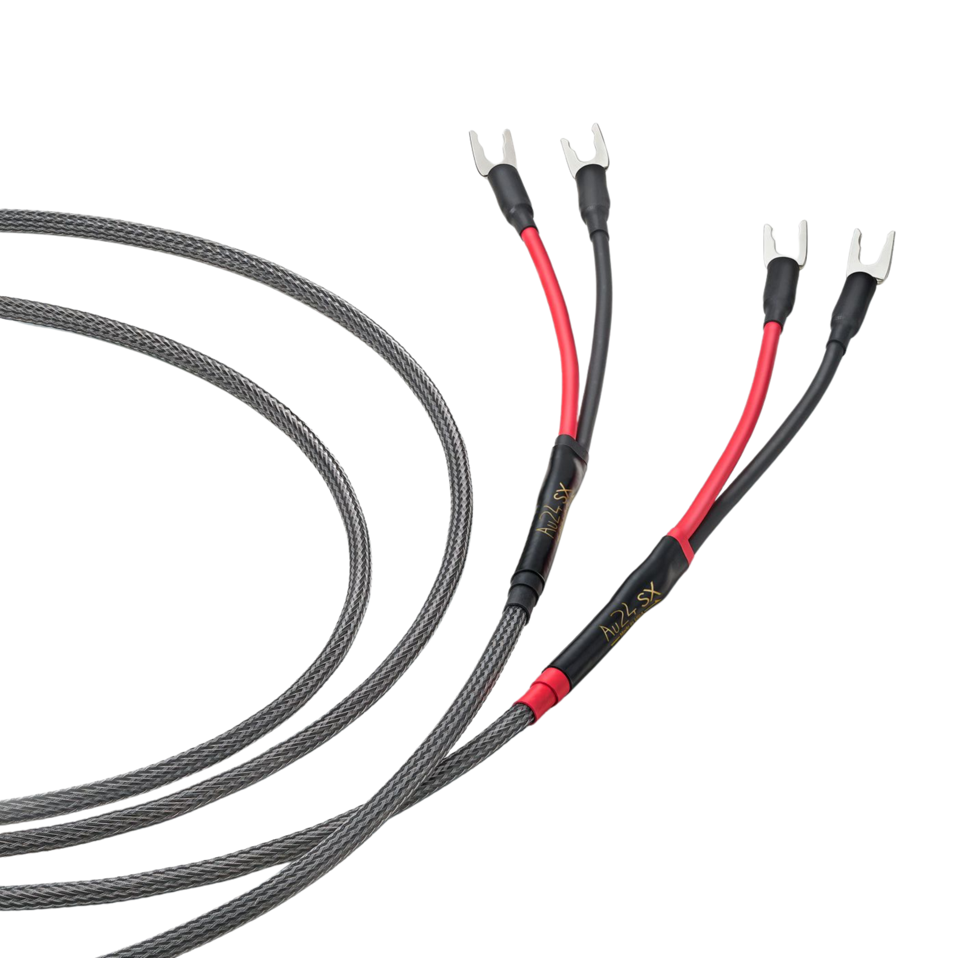 SpecialPromotion