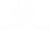 audio-force
