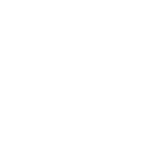 ic-face